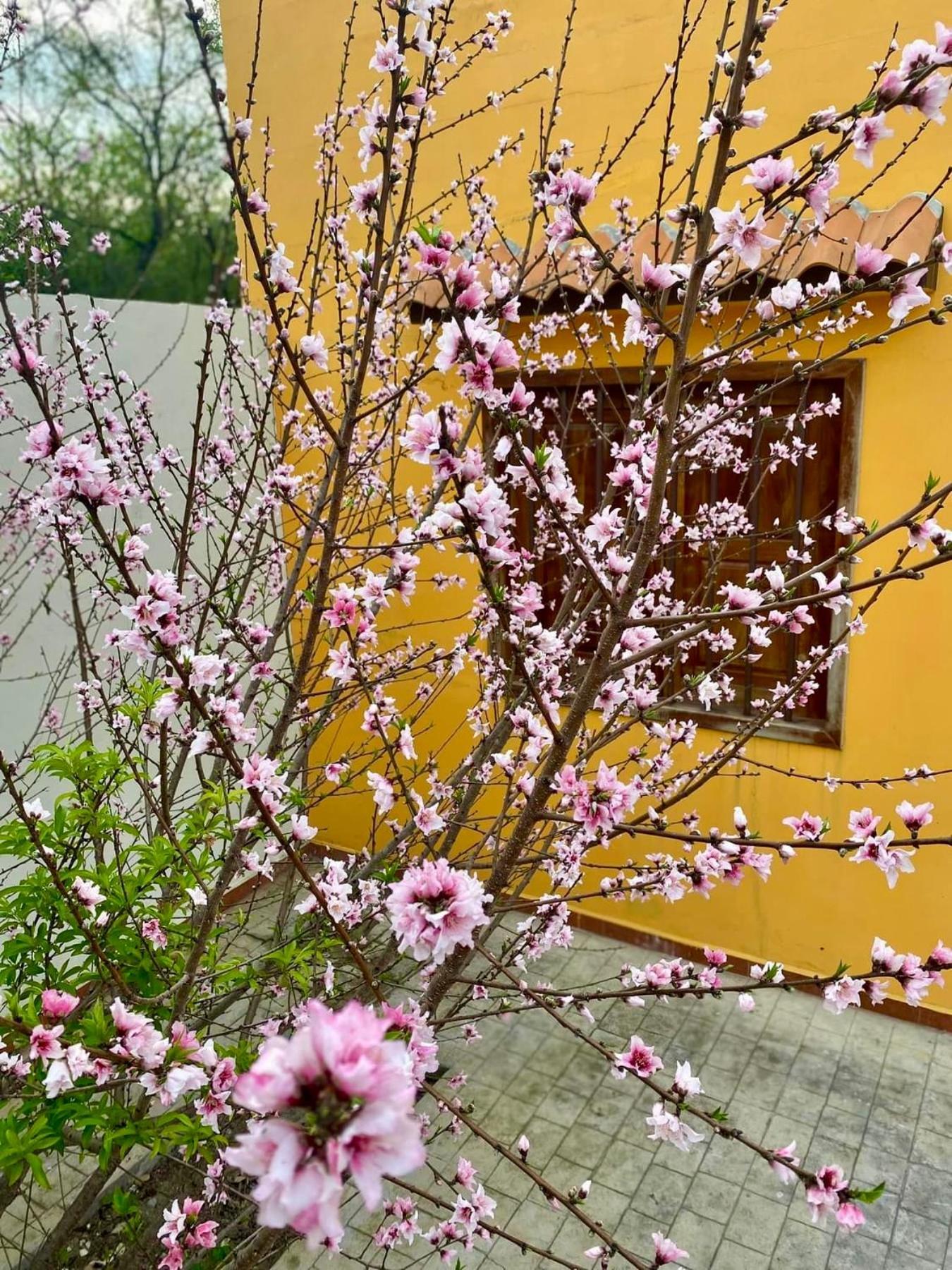 Casa Villa Antigua Montemorelos エクステリア 写真